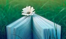 有追求不寂寞，幸福也会在路上