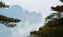 赞美黄山美景的谚语