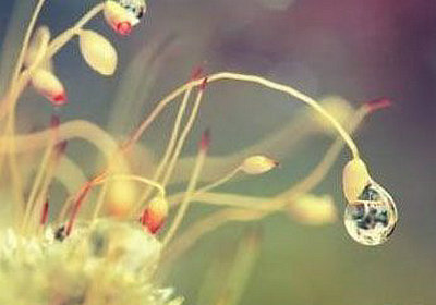 人生感悟:悲伤的生活:每一种创伤都是一种成熟