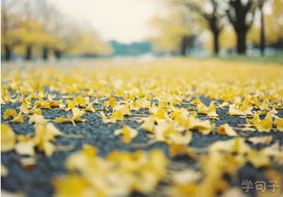 审美句子图片心情:年复一年,我属于你