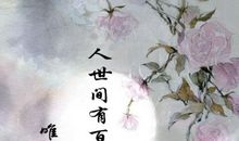 凄凉唯美的古风句子大全