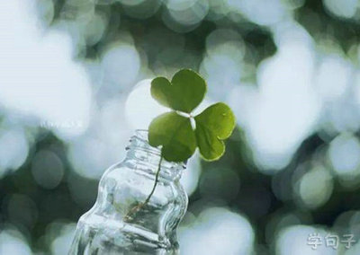 美丽的句子，不关心小人