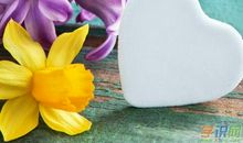 唯美诗句淡淡忧伤