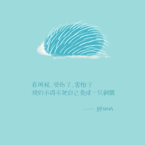 关于刺猬的个性签名