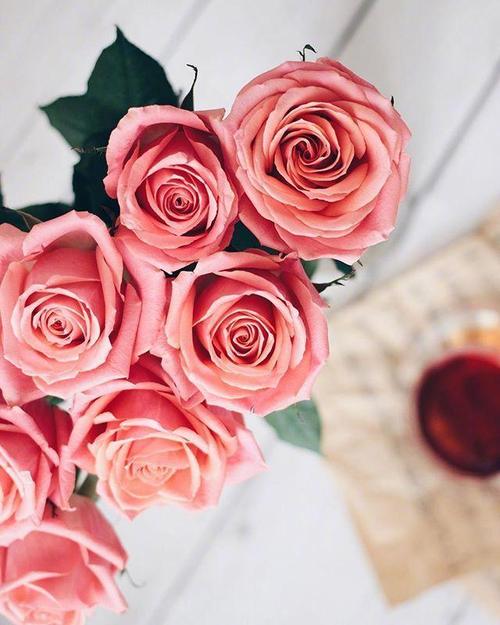 简短而优美的句子