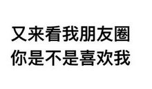 朋友圈句子可爱