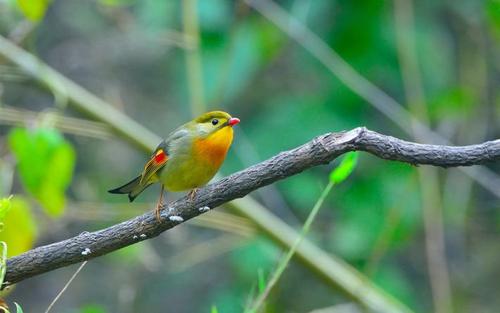 享受周末心情短语