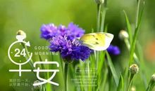 下雨天早晨祝福语