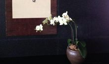 茶感悟人生的经典句子