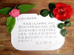 女朋友之间的祝福