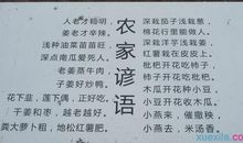 有关小动物的谚语