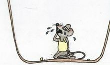 老鼠吃茶壶的歇后语