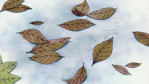 你羡慕别人，别人羡慕你。谁是你的风景，谁是你的梦想。 1个