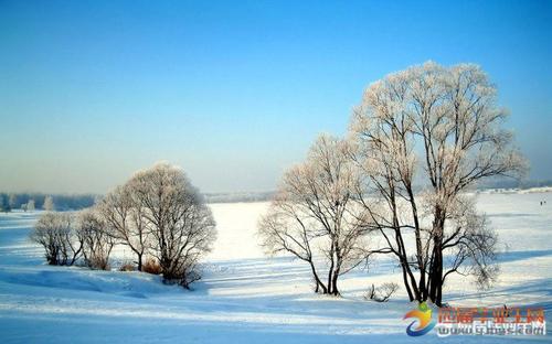 美丽的冬天句子