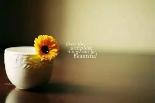 在周末发送来自Moments的经典报价