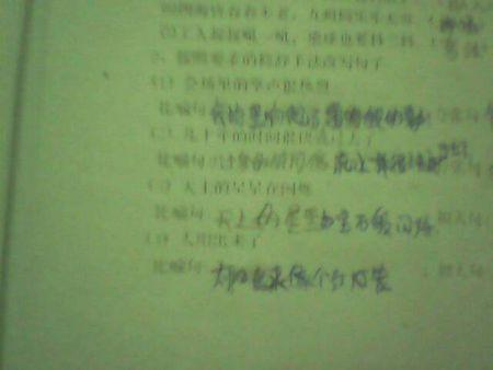 拟人化句子摘录