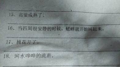 山茶花拟人化句子