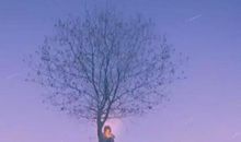 抖音最心酸的句子