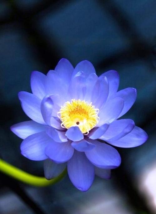 令人难忘的句子一目了然