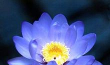 看一眼就难忘的句子