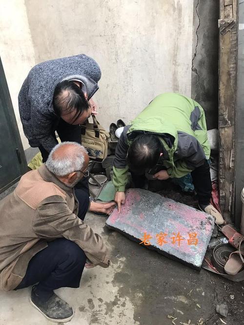 牛鼻寓言的跳蚤