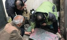 牛鼻子上的跳蚤歇后语