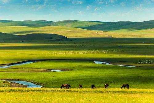 描述大草原的句子