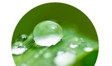 关于农村雨水谚语