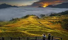 很想很想你的句子