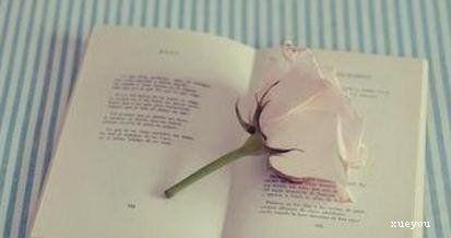 动物谚语的英语翻译