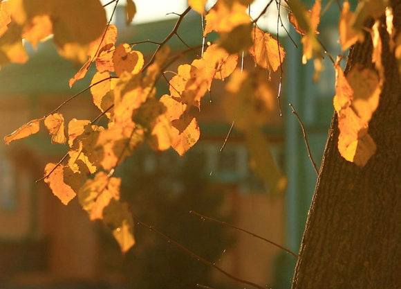 我在这里,你在另一边