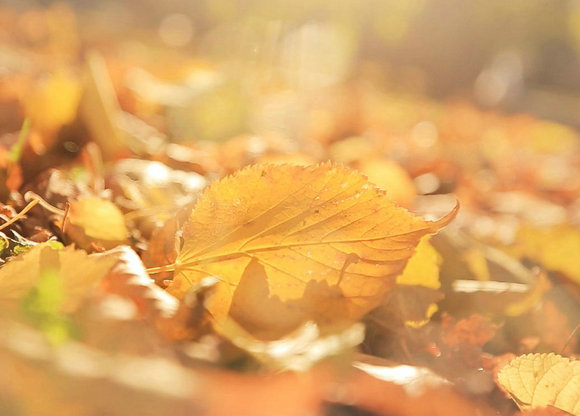 我在这边,你在另一边,互相看着对方,互相忘记1