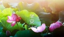 早安祝福语大全2020