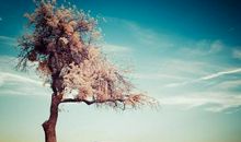 平淡幸福的唯美句子