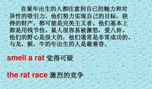 十二生肖的英文谚语