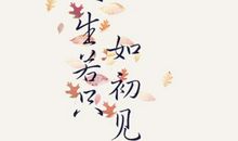 抖音最火的句子2020幸福