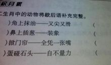 写含有动物的歇后语