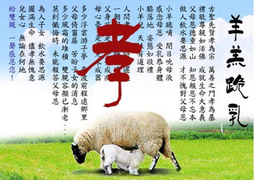 具有动物名字的寓言词