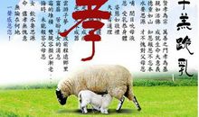 含动物名的歇后语