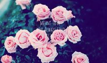 跟朋友一块开心的句子 开心一聚的心情短语