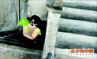 谢厚玉在楼上吃甘蔗