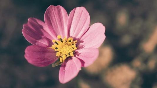 用来描述生孩子的快乐心情的句子谈论生孩子的快乐心情2