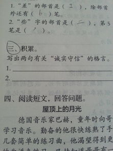 诚实的名字句子