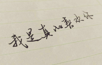 我把你藏在心里。经历了四个季节，冬天的雪，春天的花朵，夏天的蝉，秋天的月亮，我还是很喜欢你