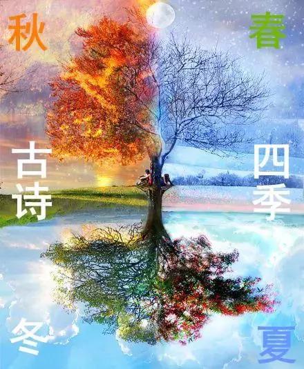 写下春季，夏季，秋季和冬季的句子