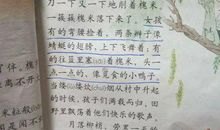 比喻石头的比喻句