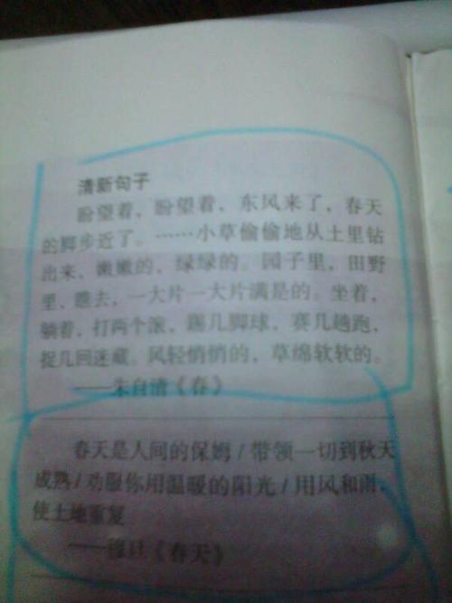 小学拟人化句子