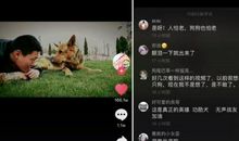 抖音非常甜的句子