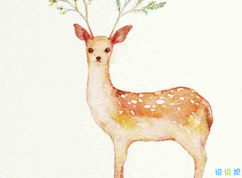 鹿的拟人化