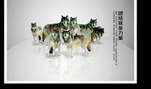 形容团结的谚语